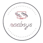 سیستم سازان یکپارچه ناب